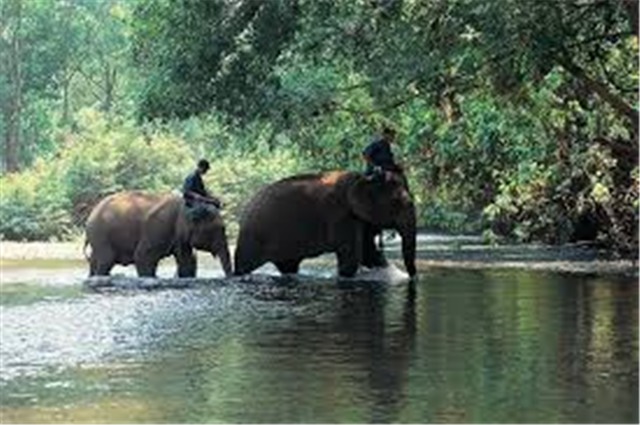 Chiang Mai Stopover